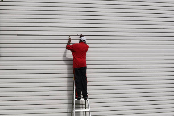 Best Siding for Commercial Buildings  in Harrisonburg, VA